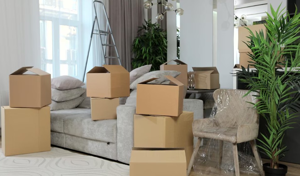 Home Removals